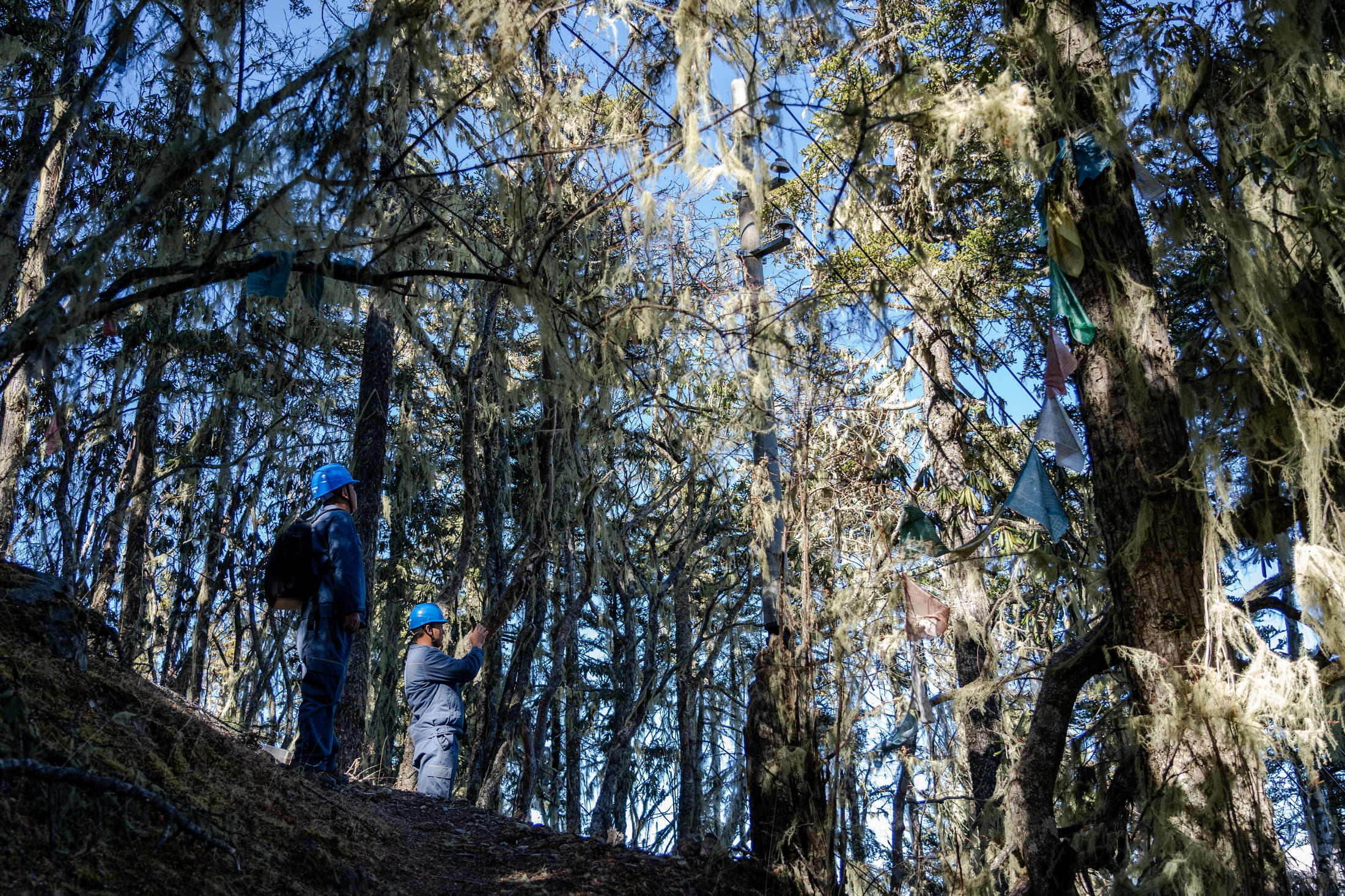 Wangden and his colleague inspect power transmission lines on a mountain in Deqen County, Yunnan Province
